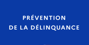 L&rsquo;Alliance Famille-État dans la prévention de la délinquance